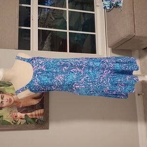 Lilly Pulitzer Collins Dress